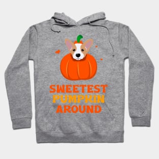 Corgi Pumpkin Hoodie